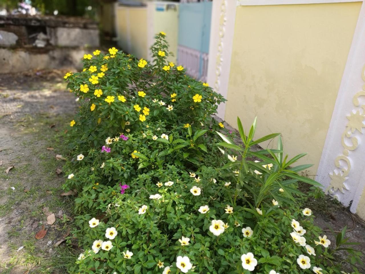 Bed and Breakfast Casa Feliz Fort Kochi Exterior foto